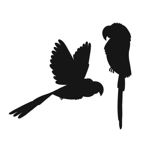 Dessin animé Ara perroquet silhouette élément de conception isolé sur blanc — Image vectorielle