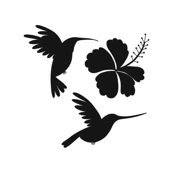 Γελοιογραφία βουητό πουλί πετούν γύρω από ιβίσκου σιλουέτα στοιχείο σχεδιασμού που απομονώνονται σε λευκό — Διανυσματικό Αρχείο