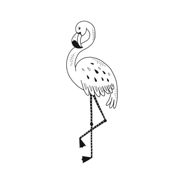 Niedlicher Flamingo steht auf einem Bein isoliert Illustration — Stockvektor