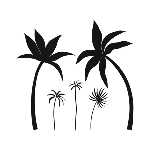 Tecknad palm träd silhuett designelement isolerad på vit — Stock vektor