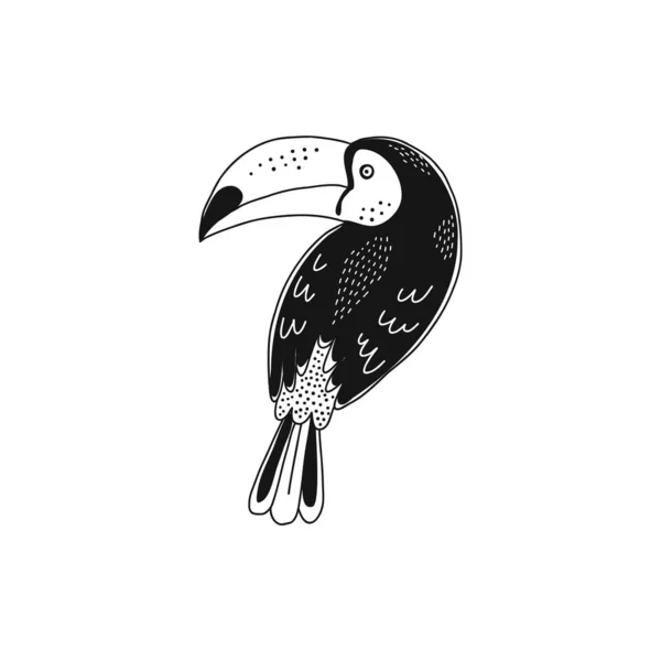 Linda ilustración aislada tucán decorativo — Vector de stock