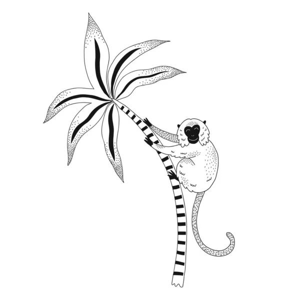Mono lindo en palmera aislado vector ilustración — Vector de stock