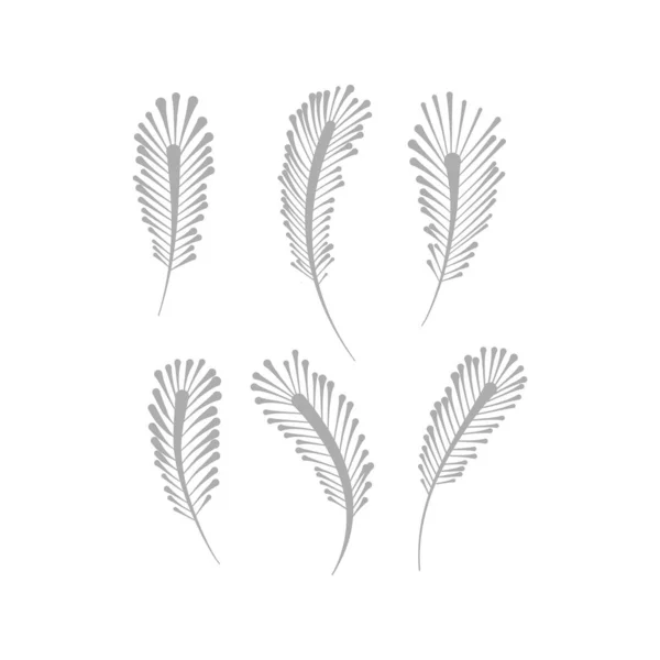 Bird feather silhouette vector design element set — Stock Vector