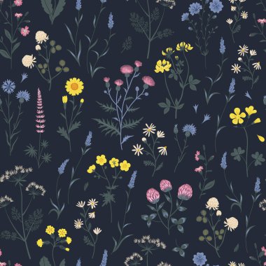 Çayır kır çiçeğinin kusursuz vektör deseni