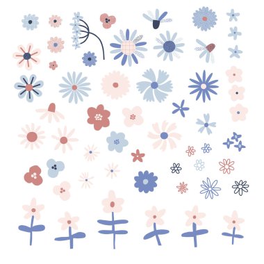 Daisy çiçek vektör illüstrasyonu seti