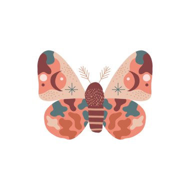 Garip Ay güvesi vektör çizimi 