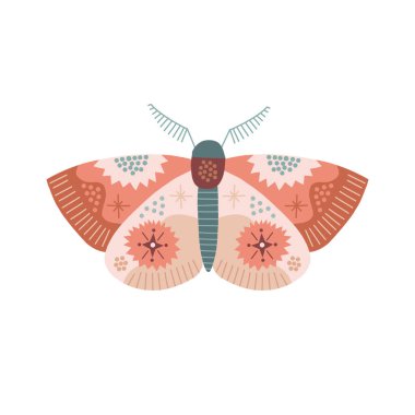 Garip Ay güvesi vektör çizimi 