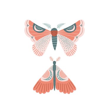 Garip Ay güvesi vektör çizimi 