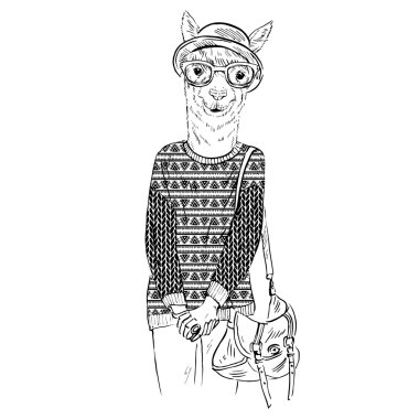 jakarlı pullove giyinmiş alpaka