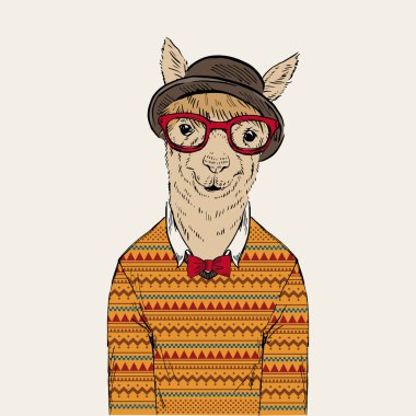 Alpaka jakarlı pullver