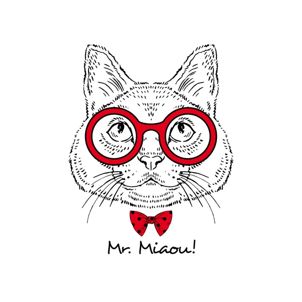 Mode portret van kat mr. miaou in zwart op wit wordt geïsoleerd — Stockvector