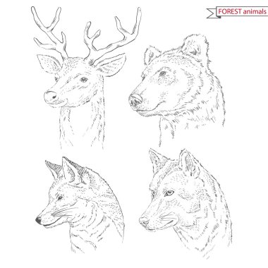 Orman hayvanları seti