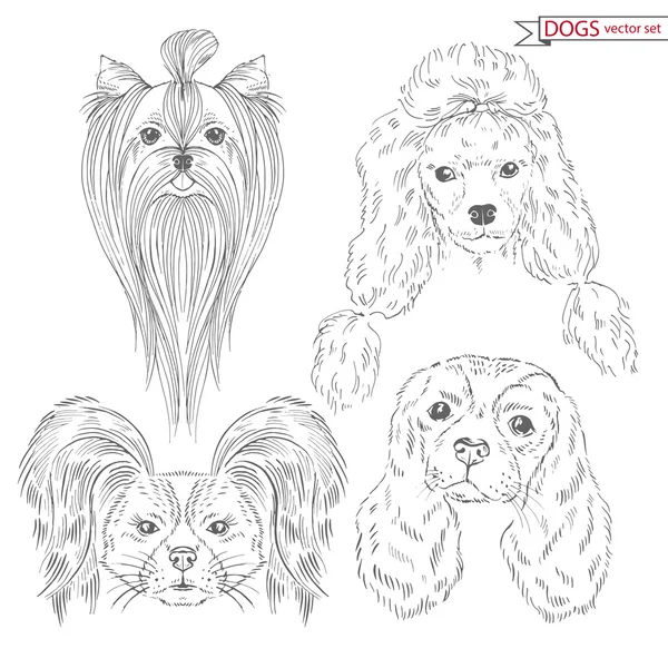 Animal set of dogs — Stock Vector