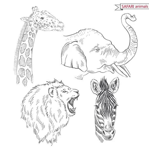 Set de animales Safari — Vector de stock