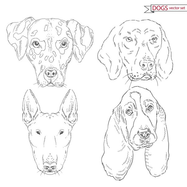 Juego de animales de perros — Vector de stock