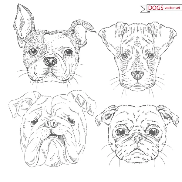 Animal set of dogs — Stock Vector