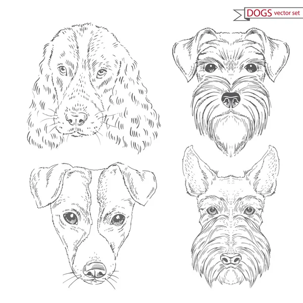 Animal set of dogs — Stock Vector