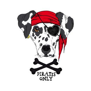 Kırmızı bandana köpek korsan