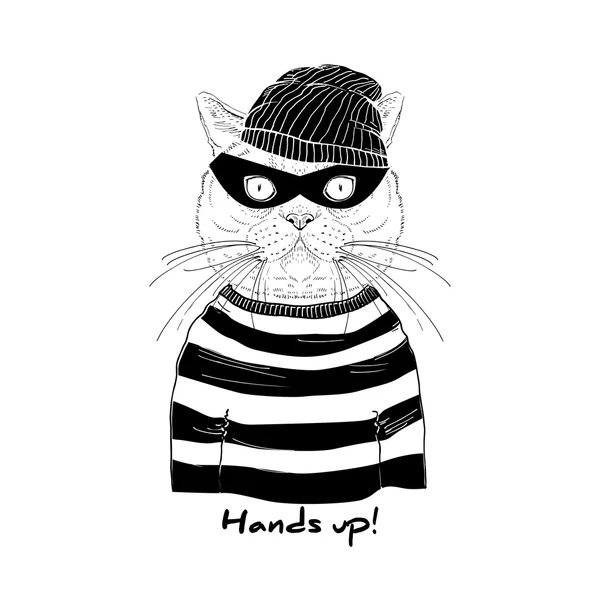 Γάτα στον κλέφτη μάσκα — Διανυσματικό Αρχείο