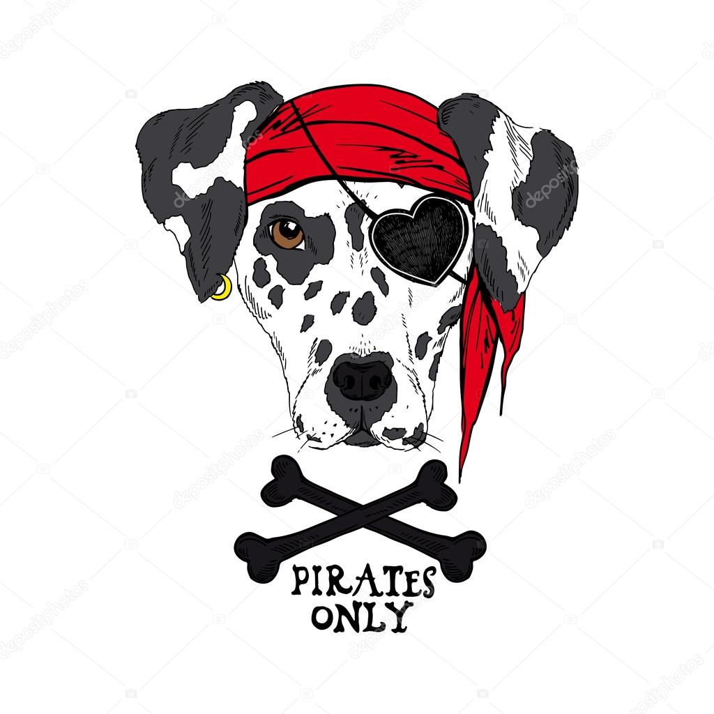 Doggy pirate in red bandana