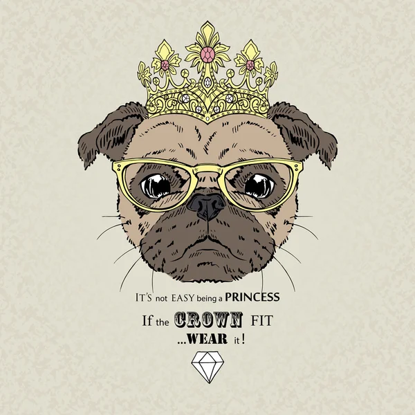 Retrato de moda de pug menina princesa —  Vetores de Stock