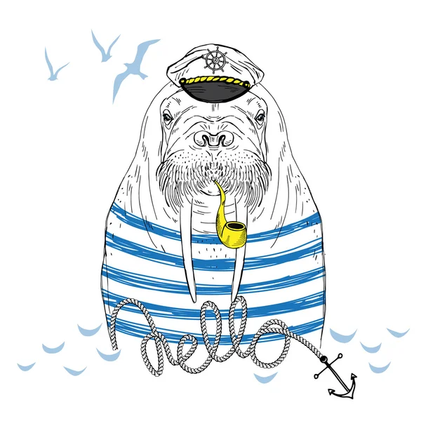 Walrus captain illustration — Stock Vector