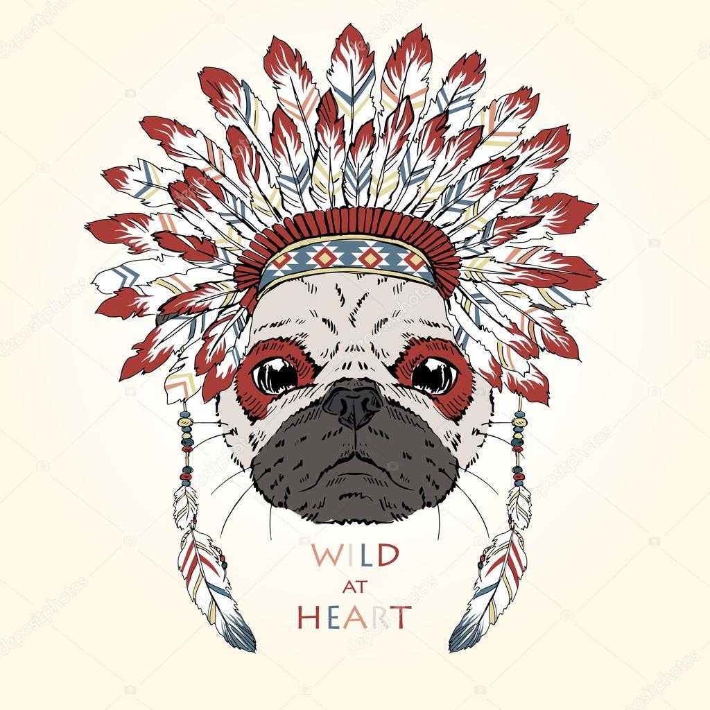 Dog in  indian war bonnet