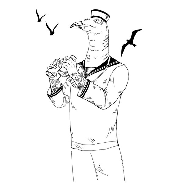 illustration of seagull with binoculars