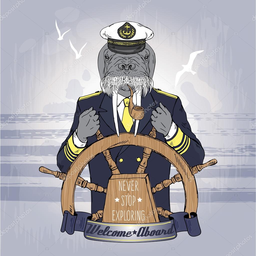 Illustration of walrus captain — Stock Vector © olga.angelloz #74135275