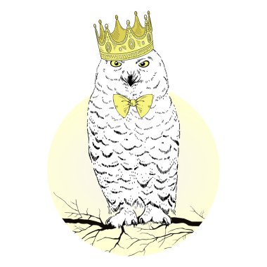 Drawing of polar owl in crown clipart