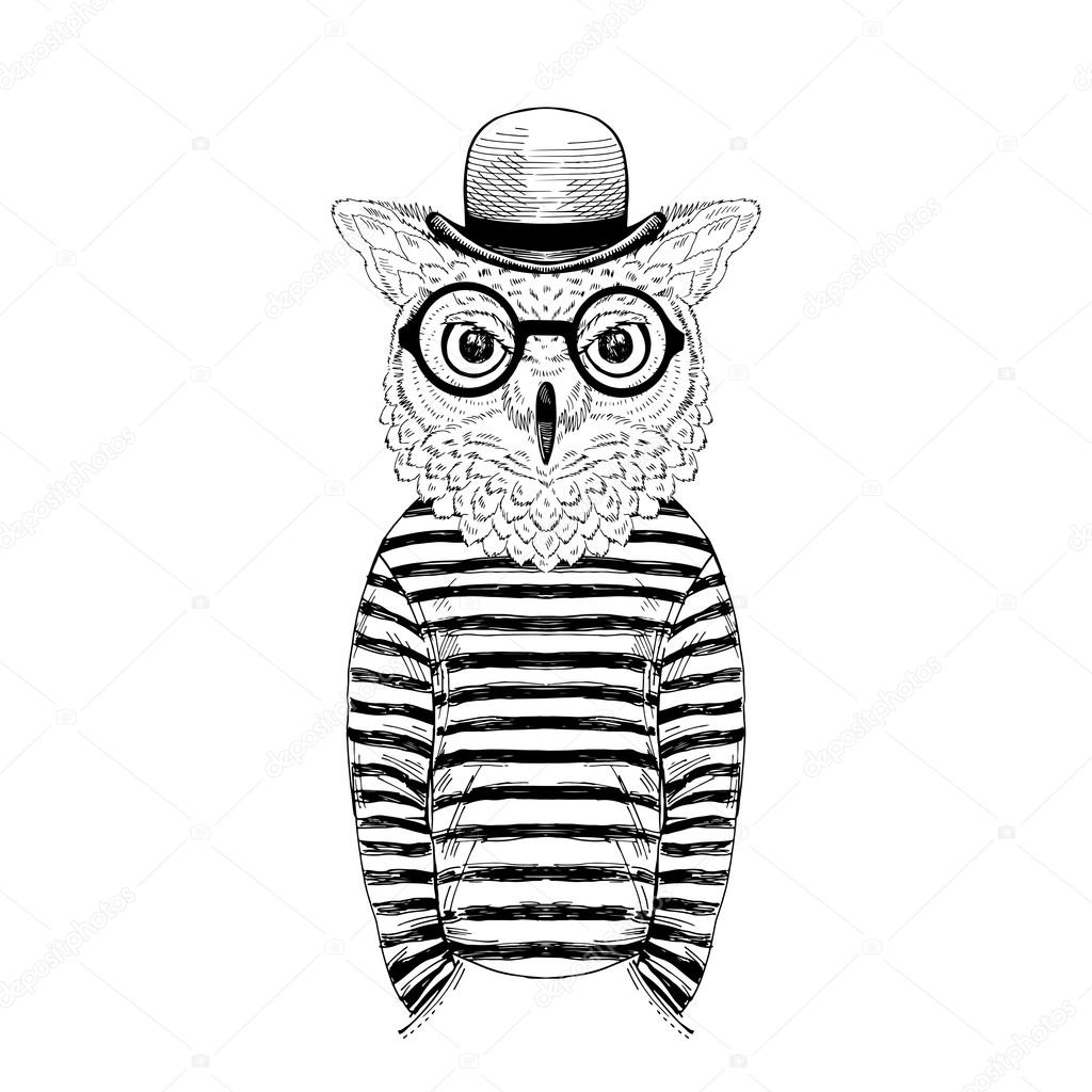 Owl dressed up in frock