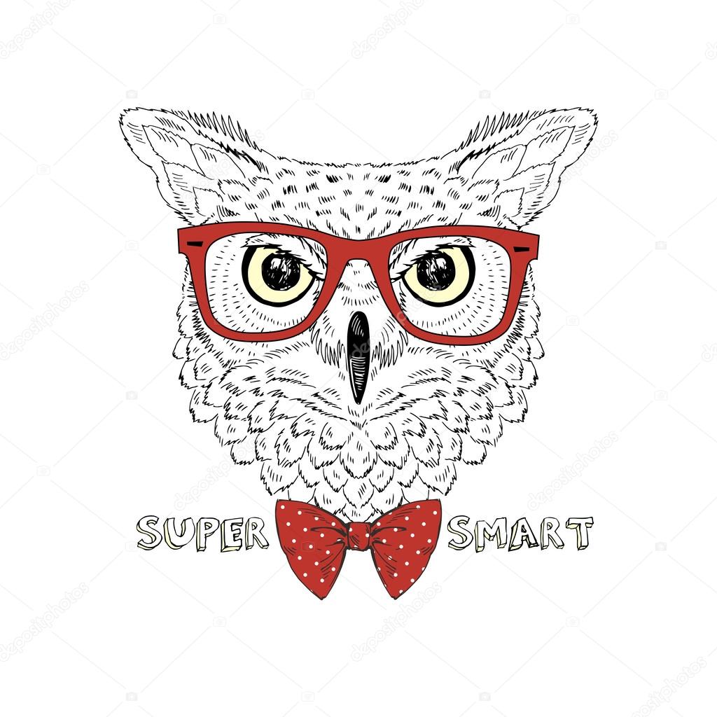Hand drawn fashion  geek owl