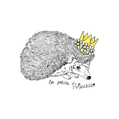 Hand drawn hedgehog princess