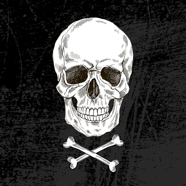 Hand drawn scull with crossbones — Stockvector