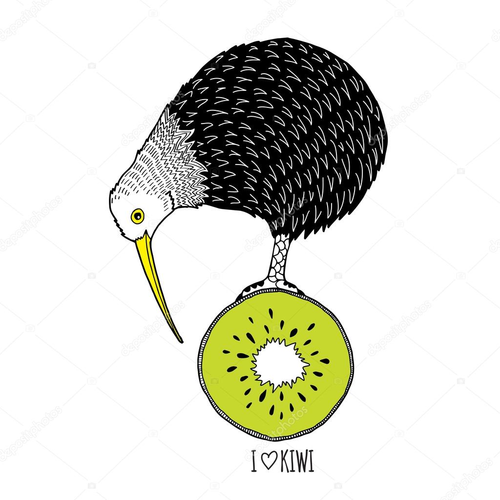 Doodle art of kiwi bird