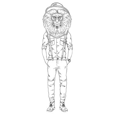 Altın Aslan pembe maymun maymun kroki