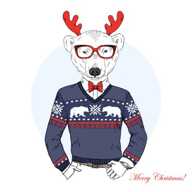 Kutup ayısı giyinmiş