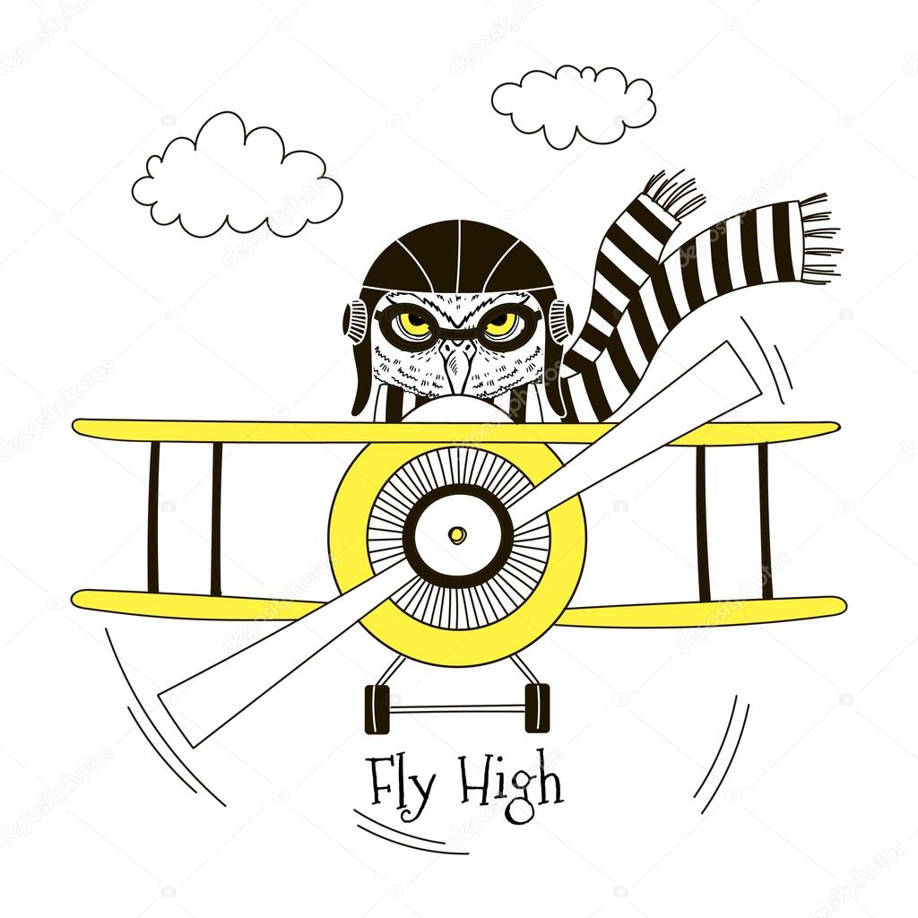 Owl pilot flying on plane