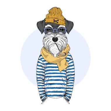 Schnauzer köpek denizci