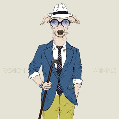 Tazı çocuk hipster