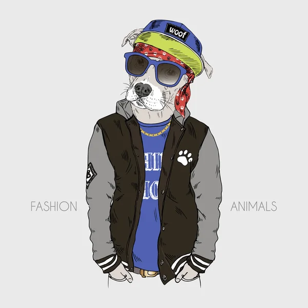 Pit bull w stylu hip-hop — Wektor stockowy