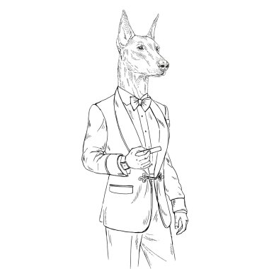 doberman pinscher köpek