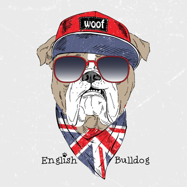 Buldog inglés vestido con camiseta — Vector de stock