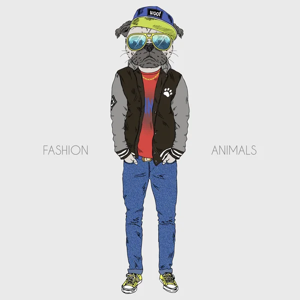 Pug vestida em estilo hip hop — Vetor de Stock