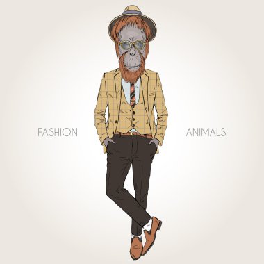 Orangutan maymun hipster