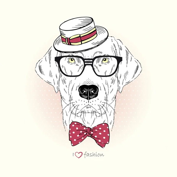 Labrador hondje jongen portret — Stockvector