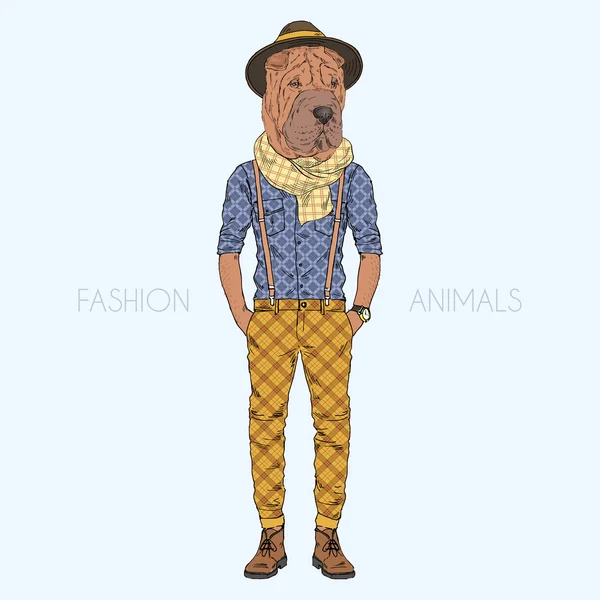Shar pei doggy boy hipster — Stock Vector