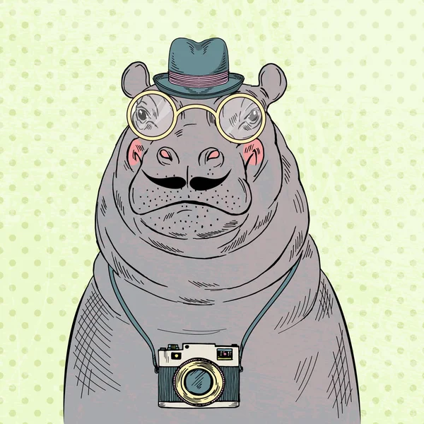 Hippo hipster menino com câmera — Vetor de Stock