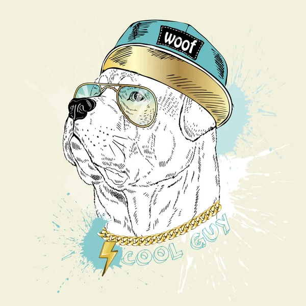 Rottweiler köpek hip hop tarzı — Stok Vektör