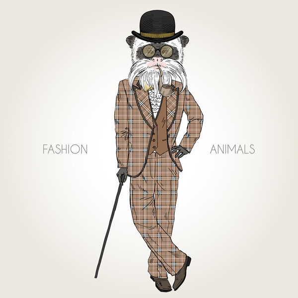 Обезьяна-император сагина
